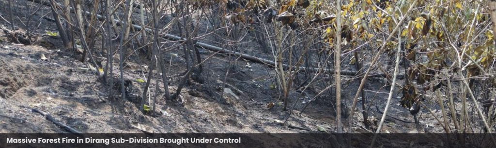 Massive Forest Fire in Dirang Sub-Division Brought Under Control