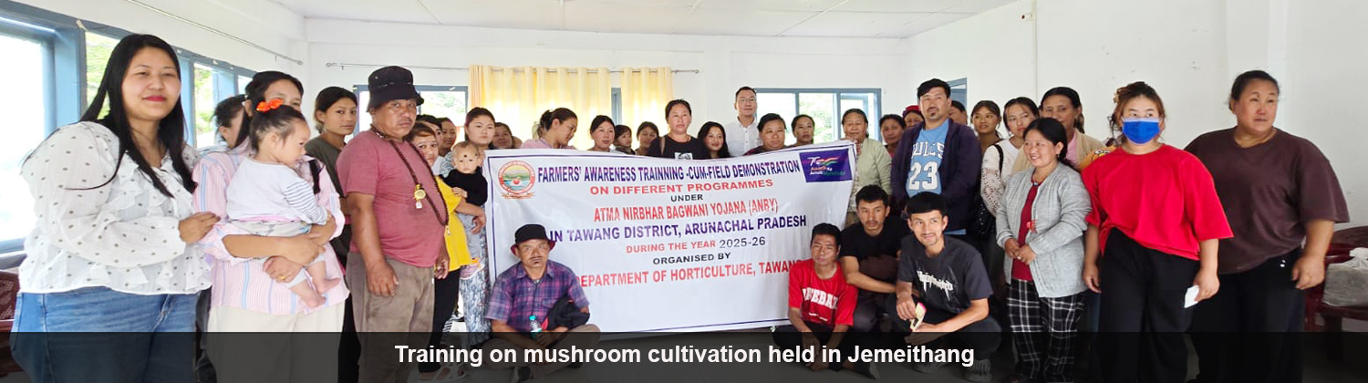 Training on mushroom cultivation held in Jemeithang