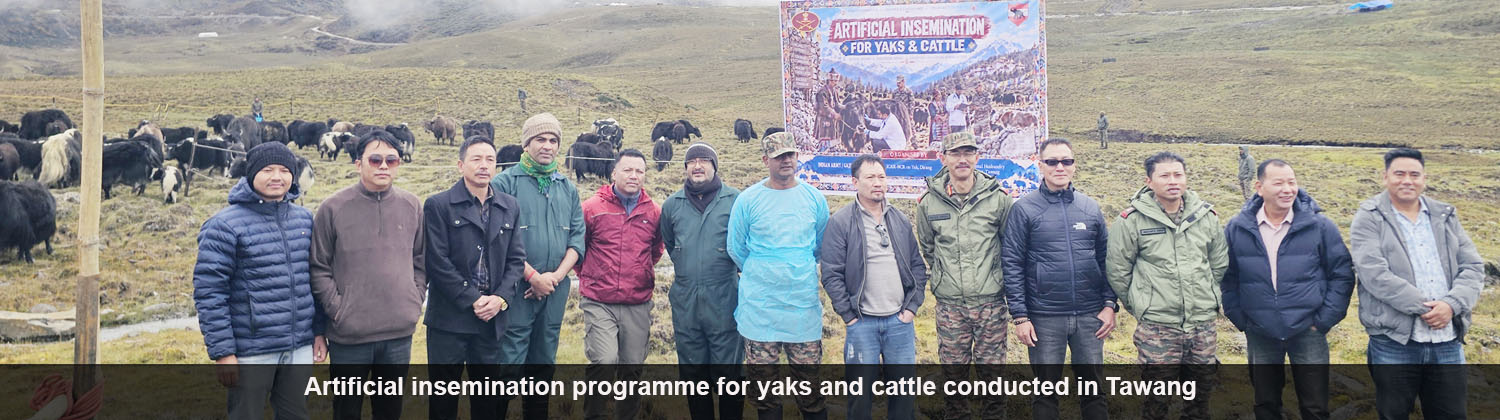 Artificial insemination programme for yaks and cattle conducted in Tawang